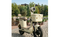 Electric Bike Basket Long-Lasting Bike Basket with Lid Wear-Resistant Universal for Commuters, Grocery Runs, Daily Errands