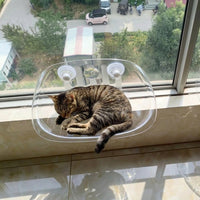 Window Cat Perch with Transparent Dome, Suction Cup Cat Bed and Hammock for Indoor Sunbathing, Strong 3 Cups Sturdy Non-Foldable Elevated Seat