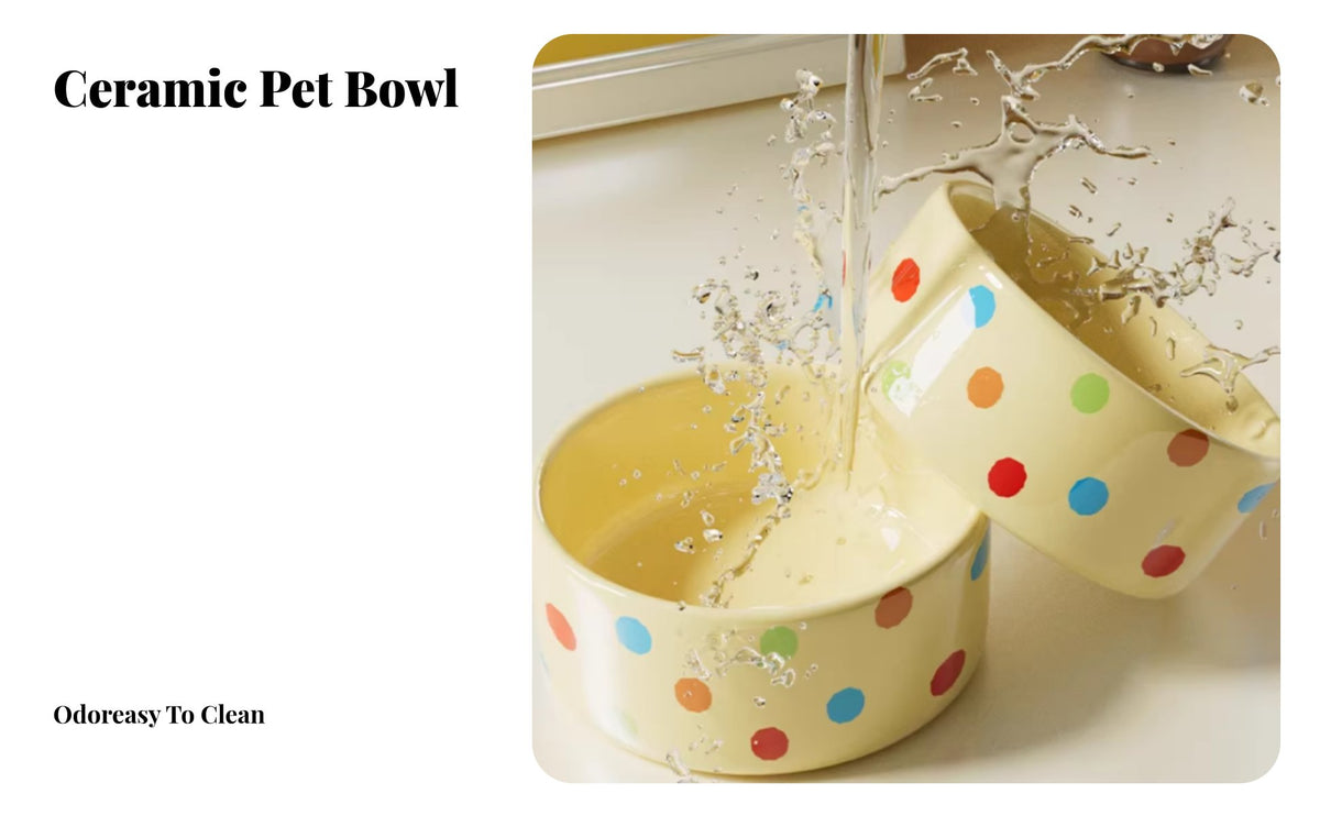 Anti-Tip Ceramic Cat Bowl Easy to Clean Cat Food Bowl with Stand Non-Slip for Dog Owners, Senior Pets, Indoor, Kitchen, Home