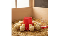 Multi-Hole Fowl Feeder Reduces Waste Anti-Spill Chick Feeder Easy to Clean Fowl Feeding Trough for Hobby Farmers, Hatching Box, Chicken Coop