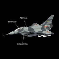 歼10战斗机静态模型合金仿真金属航空战斗机模型摆件厂家直售