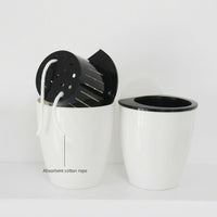 Plant Pots and Hanging Basket for Home Decor, Wall Mounted and Freestanding Hanging Plant, European Style Fence Planters
