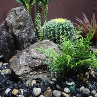 9 Pieces Decorative Rock Rugged Faux Landscape Rock Artificial Stone Lifelike Decoration Irregular for Miniature Gardens