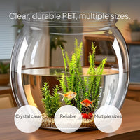 Transparent PET Desktop Fish Habitat, Sturdy Aquarium Tank