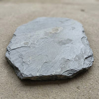 Grey Stone Landscaper Stepping Stones Border Outdoor Garden Pathway Pavers, High Strength Waterproof Stone for Home or Garden