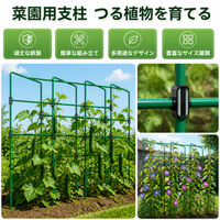 Plant Support, Stakes, Trellis, Gardening Stakes, Iron, Green, Houseplants, Climbing Plants, For Garden, Home Vegetable Gardens, Square Modular
