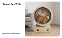 quiet Operation feline sprintning Wheel No Assembly Required Treadmill with Integrated Play framework Promotes Fitness Feline Exercise apparatus Reduces Boredom for Apartment, Indoors, Living Room, Home