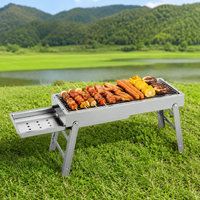 Foldable Charcoal Grill, Portable Charcoal Grill for 3-7 People, Camping & Picnic, Painted Iron, Silver 2.8kg