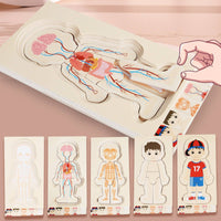 Wooden Body Structure Puzzle Learn Through Children's Body Structure Learning Puzzle Cognitive Development Layered Toy for Kindergarten