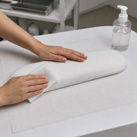 Manicure Hand Rest and Mat Set for Nail Art