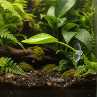 Natural-Looking Reptile Leaf Perch Wall-Mounted Leaf Basking Platform Compact Basking Platform with Suction Cup for Reptiles, Amphibians, Tree Frogs, Terrarium, Vivarium