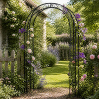 European Vintage Wrought Iron Garden Arch for Climbing Plants