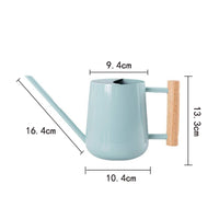 Stainless Steel Watering Can Painted Finish Long Spout Watering Can Easy to Fill Pouring Pot