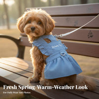 Ruffled Straps Denim Dog Dress with Leash Lightweight Material Denim Dog Dress Breathable for Young Dogs, Cats, Walking, Outdoor