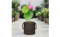 4 Pieces Portable Aquatic Planter Bag