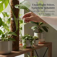Plant Vine Clips for Climbing Plants, Fruit Trees, and Vegetables - Support and Training Clips