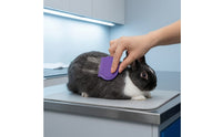 8 Pieces Pet Grooming Kit with Glove Textured Grip Grooming Kit with Massage Glove Fine-Tooth for Small Animals, Coat Care
