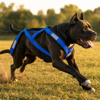 Dog Pulling Harness Adjustable Dog Harness with Reflective Strips Soft for Night Walking