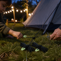 Dyneema Reflective Tent Guy Ropes 2mm High Strength Windproof for Outdoor Camping Tarp