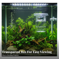 Guppy Breeder Box Double-Tier-Tier Design Aquatic Habitat Separation Box Buoyant Aquatic Pet Hatchery Suction Holder Mount
