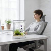 fishing Aquarium Transparent Desktop Aquatic Habitat Easy to Maintain Aquarium with Lid for Beginners, Office Workers