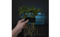Hanging Aquarium Plant Holder For Rimmed or Rimless Tanks Emergent Plant Holder Good Water Circulation Fish Tank Planter with Hooks