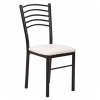 Modern Design Molded Shell Chair with Metal Legs Minimalist and design Household Furniture adaptable Use Easy to Clean for Homeowners, Apartment Dwellers, Business Owners, Dining Room, Restaurant, Kitchen, Home Office