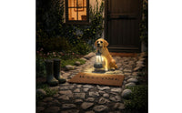 Warm LED Shine Frog Garden Statue with Solar Light Automatic On/turn off Resin Frog Garden Light Weather Resistant for Patio, Porch, Balcony