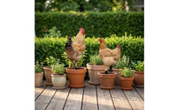2 Pieces Chicken Silhouettes with Ground Stakes Acrylic Chicken Garden Stake Animal-Themed Outdoor Decorations Black