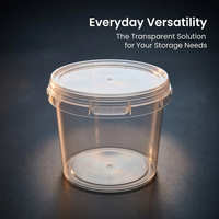 3L Storage Container with Lid and Carry Handle, Clear PP Bucket for Household and Garden Use, Multipurpose Storage Bin with Secure Lid