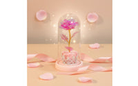 Romantic Gift LED Blossom in Glass Dome Battery Powered Enchanted Blossom Light Eternal Flower Night Light for Mothers, Girlfriend, Women, Mother's Day, Anniversary