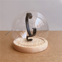 Clear Watch Display Dome Cloche  Showcase Dust Protection Watch Dome Display Lightweight