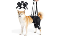 Breathable Dog Rehab Support Strap Adjustable Dog Hip Lift Harness Easy to Carry Rear Leg Support Harness Padded Handle for Older Dogs, Stairs, Walking