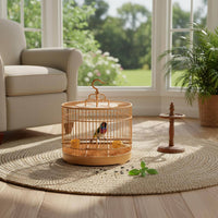 Round Bird Enclosure Easy to Clean Plastic Bird Enclosure Sturdy for Indoor