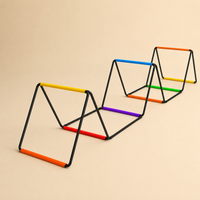 agility ladder