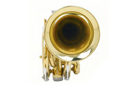 Brass Palm Trumpet Portable Style B♭ Mini Trumpet Anti-Slip Buttons Musical Instrument for Beginners, Students, Rehearsal Travel