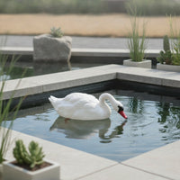 Realistic Floating Swan Lifelike Swan Decoy Weatherproof Pond Decoration Sturdy for Gardeners, Patio
