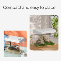 Mini Desktop Aquarium with Lid, Filtration, Oxygenation