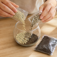 terrarium kit