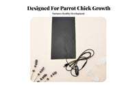Parrot Nursery Box Constant Temperature Heated Avian Hatchery Chick Brooder Heating Plate Keeps Chicks Warm Chick Warming Box