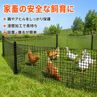 Plastic Mesh, Bird Netting, 2m×50m, Black, 3.5cm Mesh, Chicken Farming, Gardening Fence Net