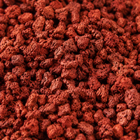 Red Pot Bottom Stone 4.54kg Porous Akadama Soil Aquarium Substrate Soil Volcanic Rock Bonsai Gardening Terrarium