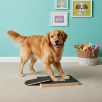 Dog Nail Scratching Pad Solid Wood Construction Dog Scratch Pad with Treat Drawer Mental Nail Filing Board with Treat Drawer