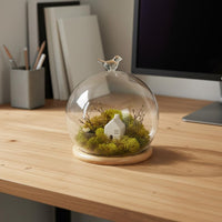 Preserved Flower Display Dome Modern Minimalist Design Preserved Flower Dome Miniature Landscape Debris-Resistant Cover Chic