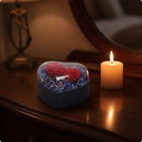 Heart-Shaped Jewelry Box Box Decorative Jewelry Box with Clear Lid Glossy for Proposals, Anniversaries, Dressing Table