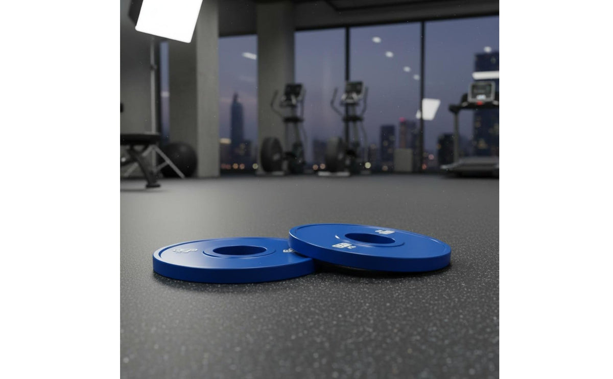2 Pieces Commercial Grade Fractional Weight Plate Long-Lasting Build Small Increment Weights Rounded Edges Thin Steel Standard Plate for Bodybuilders
