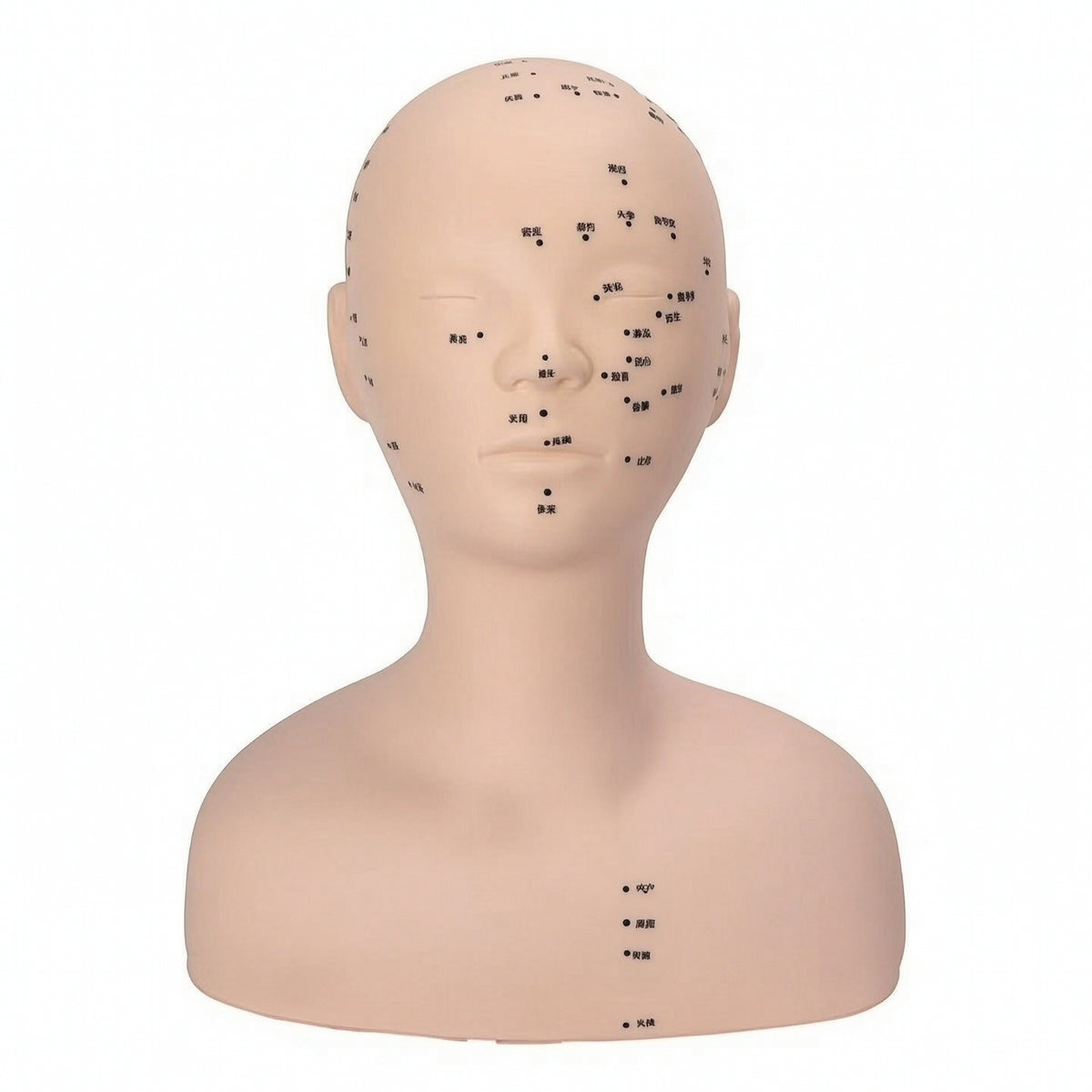 PVC Mannequin Head with Shoulders Soft Acupoint Training Model Mannequin Head with Shoulders Flesh-Toned Realistic