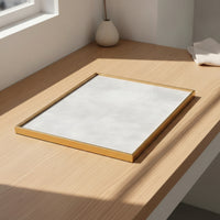 Jewelry Display Tray Rectangular Jewelry Tray with Velvet Lining Shielded for Collectors, Boutique