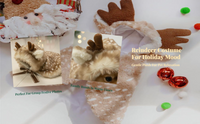 Pet Reindeer Cape, Warm Hat, Adjustable, Holiday Wear