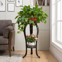 Plant Stand and European Style Metal Plant Stands Indoor, Economy 2-Tier Plant Pot Stand for Living Room, Tall Plant Pot Stand Indoor Corner